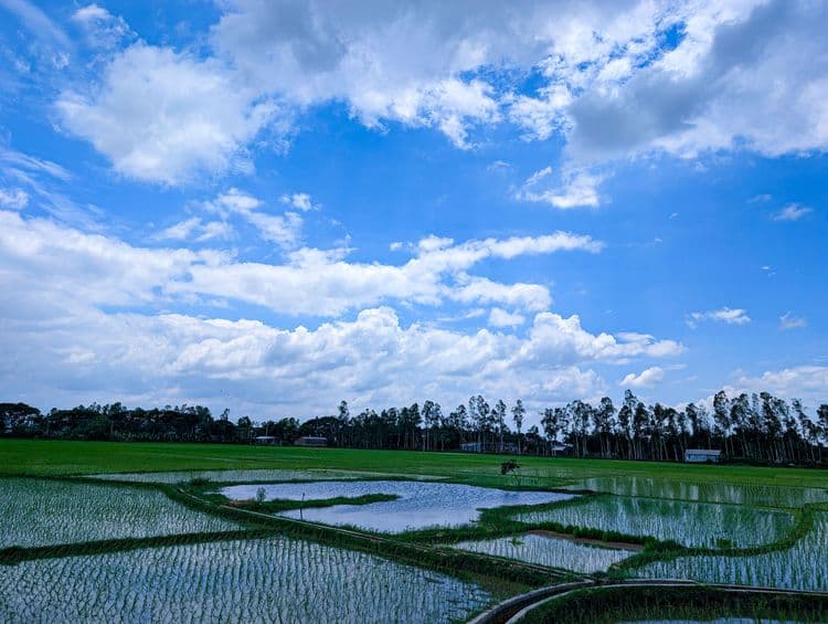 കേരളത്തിൽ കർഷകർക്കായി പുതിയ ഡിജിറ്റൽ സഹായ പദ്ധതി ആരംഭിച്ചു